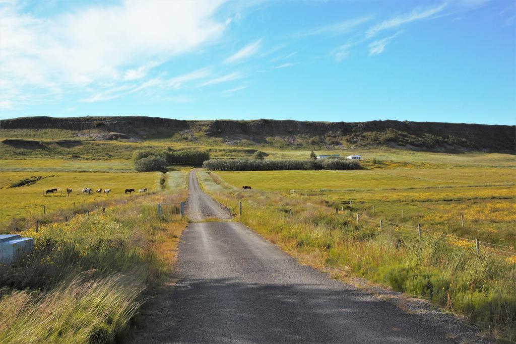 Greenkey Ranch - Fell Reykholt  Esterno foto